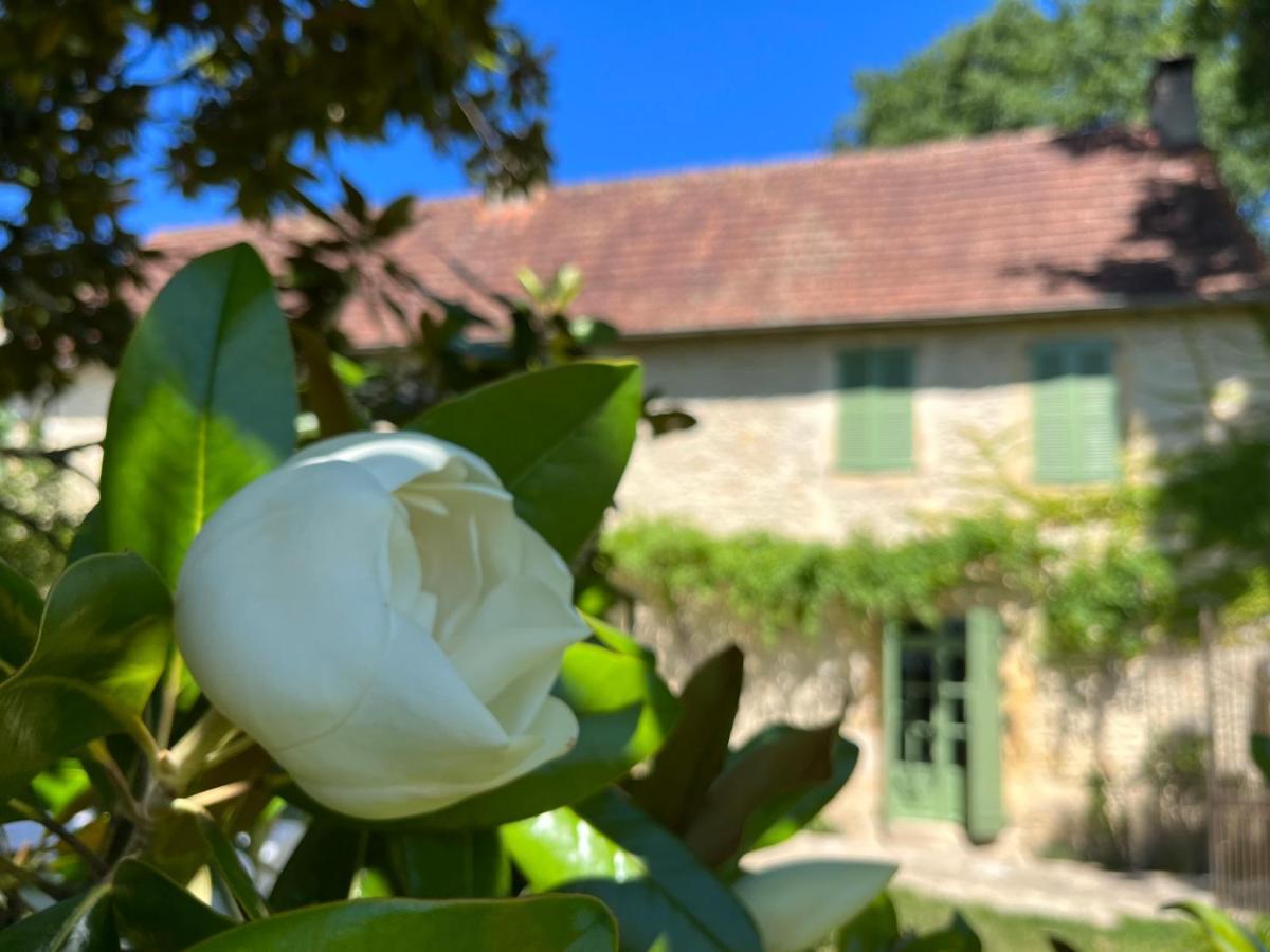 Le Clos Chalmon Chambre D'Hote Montignac-Lascaux Zewnętrze zdjęcie