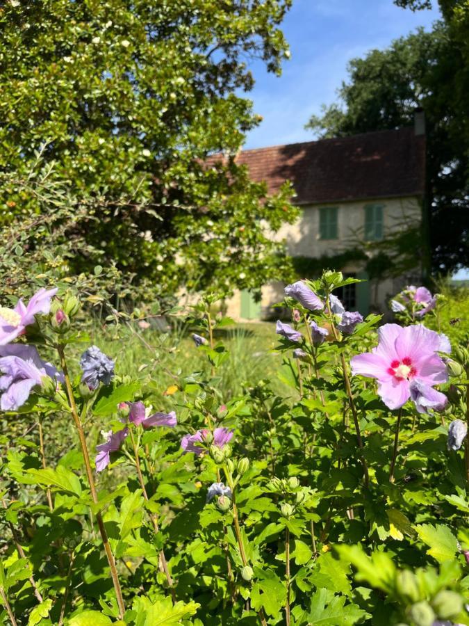 Le Clos Chalmon Chambre D'Hote Montignac-Lascaux Zewnętrze zdjęcie